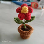 Handcrafted Knitted Flower | Cotton-Blend & Everlasting | 4 cm Pot