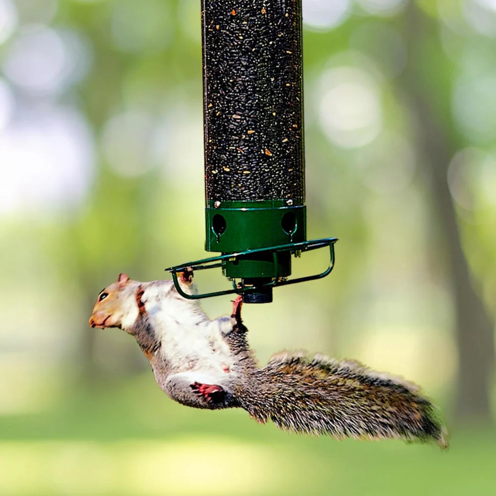 Hanging Bird Feeder | Squirrel-Proof Spinning Perch & Metal | 4 Feeding Ports