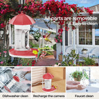 Hummingbird Feeder | 1080P Wide-Angle Camera & Wi-Fi