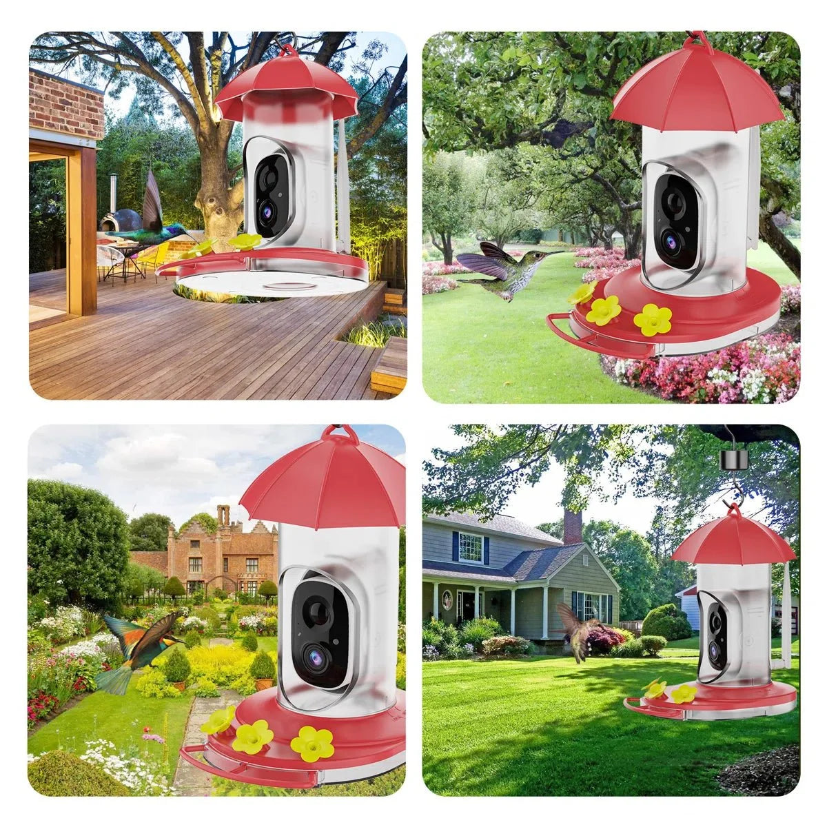 Hummingbird Feeder | 1080P Wide-Angle Camera & Wi-Fi