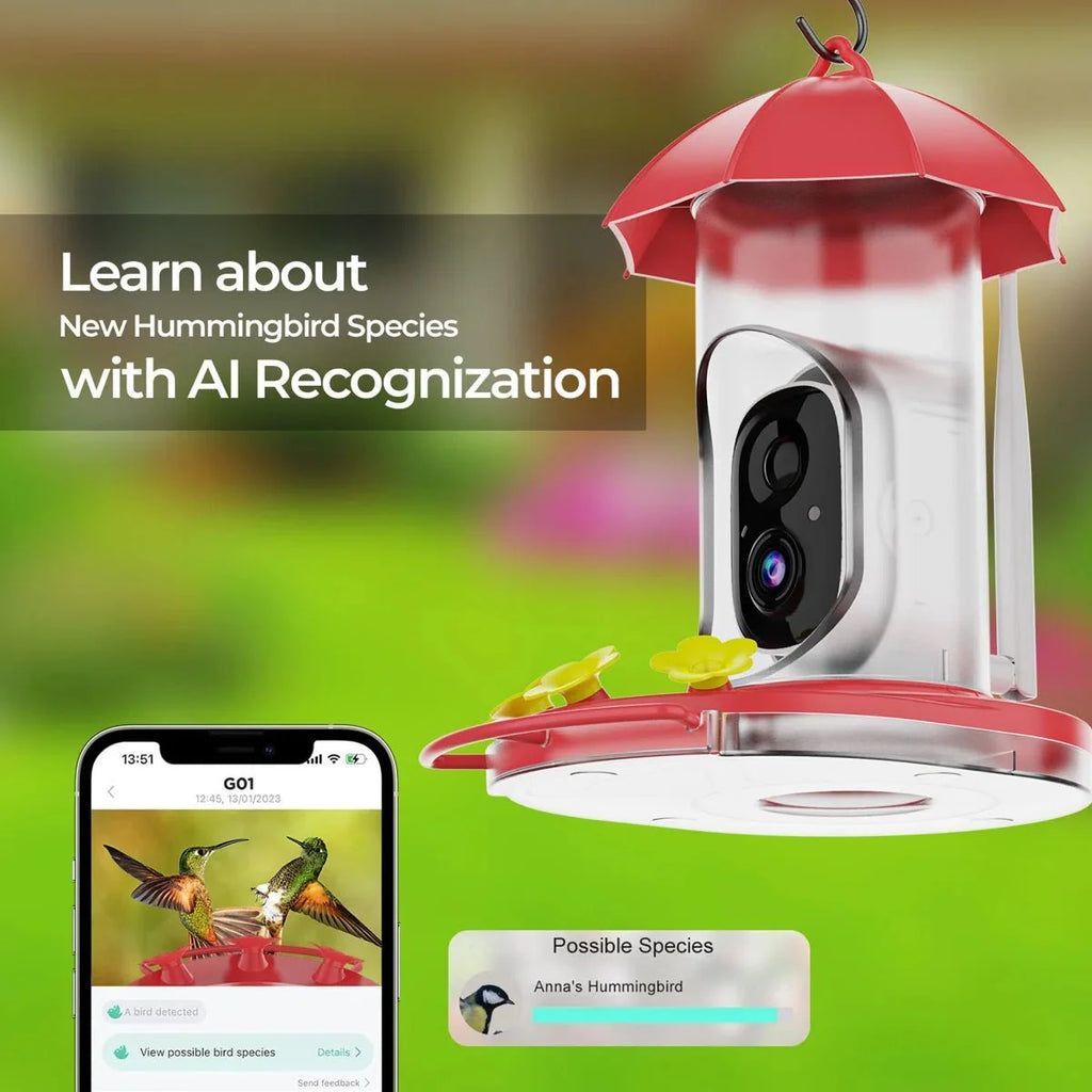 Hummingbird Feeder | 1080P Wide-Angle Camera & Wi-Fi