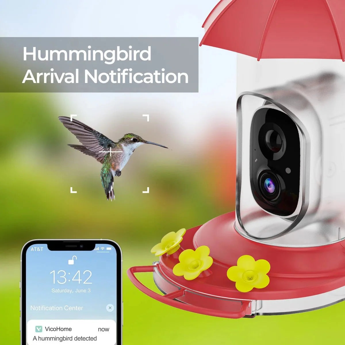 Hummingbird Feeder | 1080P Wide-Angle Camera & Wi-Fi