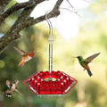 Hummingbird Feeder | Ant-Proof & Leak-Proof | 30 Feeding Ports