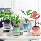 Indoor Planter | Self-Watering Double-Wall & Eco-Friendly