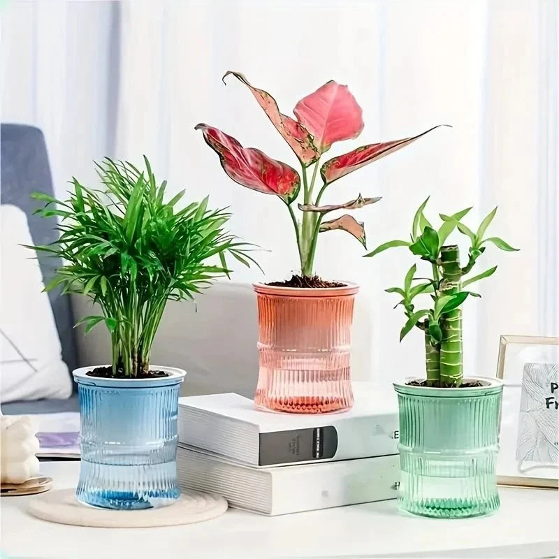 Indoor Planter | Self-Watering Double-Wall & Eco-Friendly