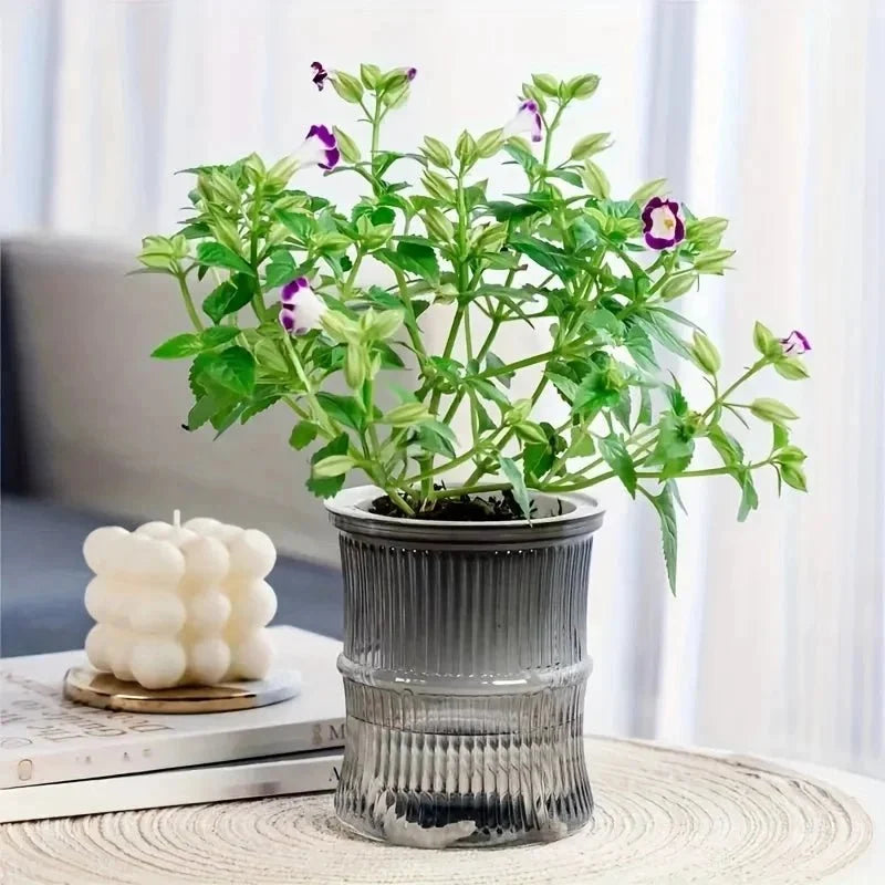 Indoor Planter | Self-Watering Double-Wall & Eco-Friendly