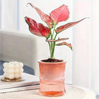 Indoor Planter | Sustainable Self-Watering & Double-Walled