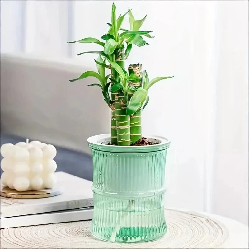 Indoor Planter | Sustainable Self-Watering & Double-Walled
