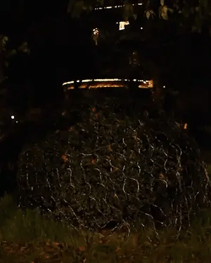 Light Net | Solar-Powered & Waterproof | 2 x 3 m