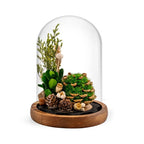 Night Lamp | Glass Dome & Preserved Dried Flowers | Warm White Light