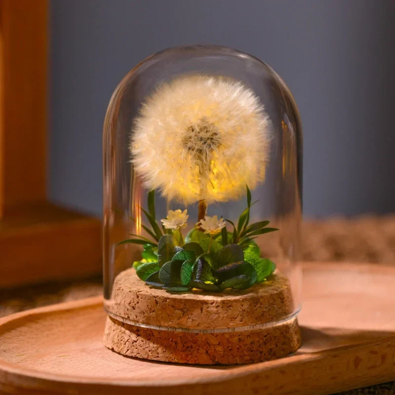 Night Lamp | Glass Dome & Preserved Dried Flowers | Warm White Light