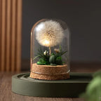 Night Lamp | Glass Dome & Preserved Dried Flowers | Warm White Light