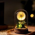 Night Lamp | Glass Dome & Preserved Dried Flowers | Warm White Light