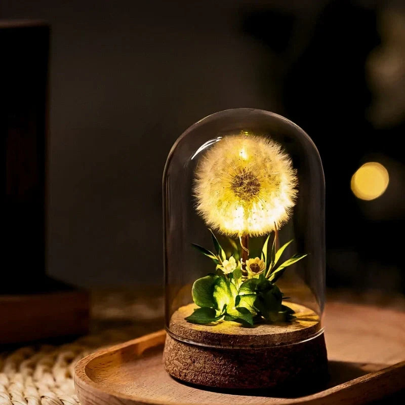 Night Lamp | Glass Dome & Preserved Dried Flowers | Warm White Light