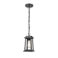 Outdoor Pendant Light | Black Metal & Clear Glass | Adjustable Hanging Chain