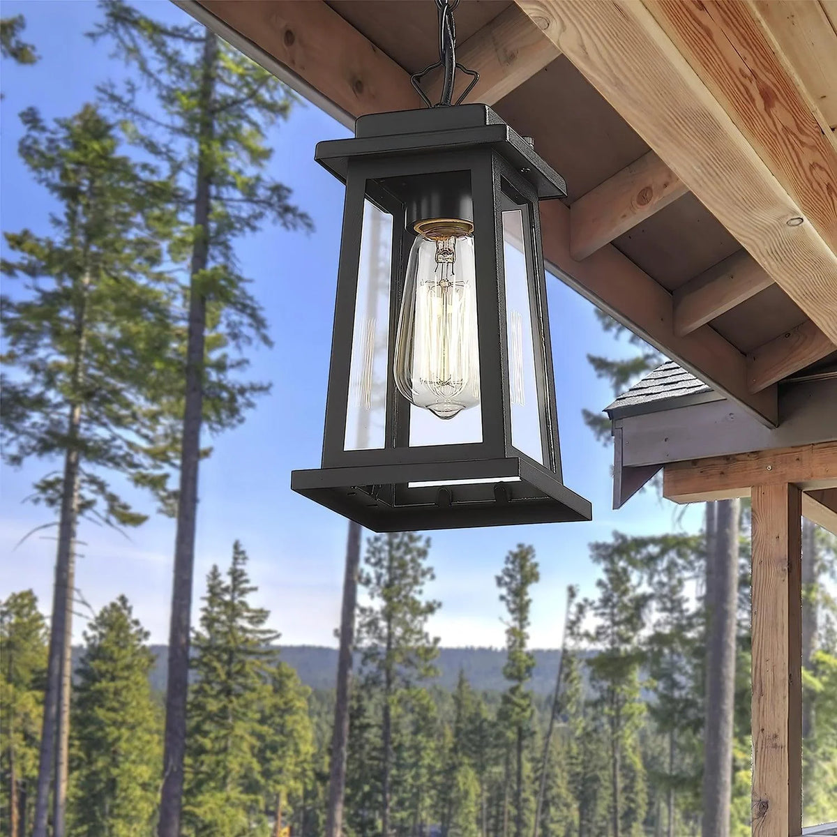 Outdoor Pendant Light | Black Metal & Clear Glass | Adjustable Hanging Chain