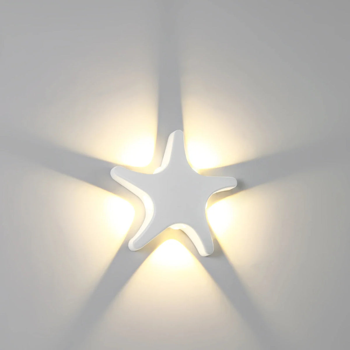Outdoor Wall Light | Starfish Design Built-In LED & Aluminum