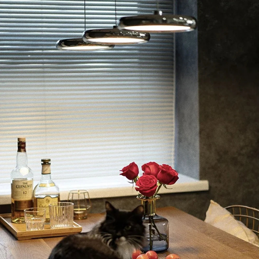 Pendant Lamp | Metal & Acrylic Multi-Head LED Built-In