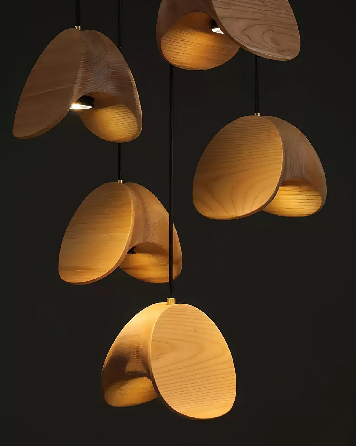 Pendant Light | Integrated LED & Adjustable Height | Multiple Head Sizes