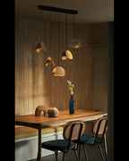 Pendant Light | Integrated LED & Adjustable Height | Multiple Head Sizes