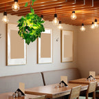 Pendant Light | Metal Globe Shade & Adjustable Chain | E26/E27 Socket