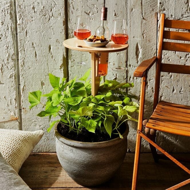 Picnic Table | Foldable Birch Wood & Integrated Wine Holder