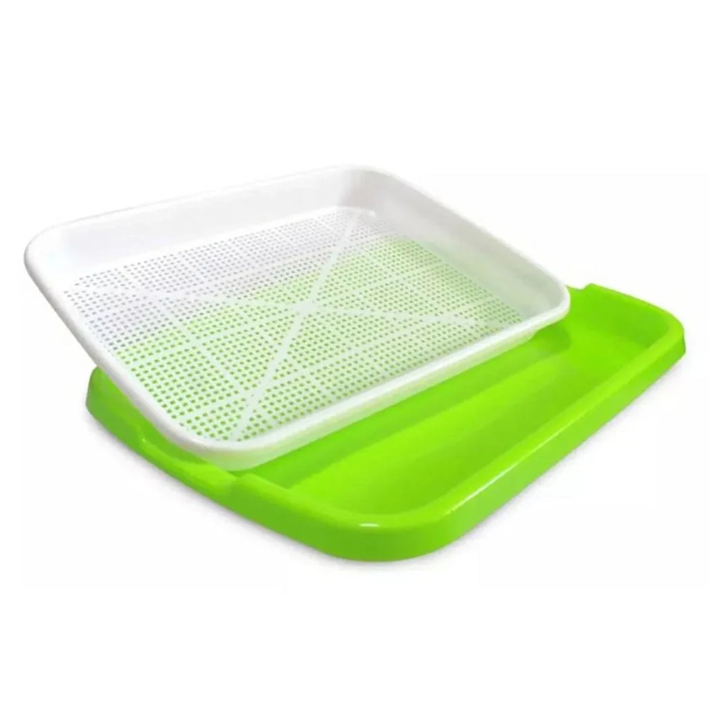 Sprouting Tray | 2-Layer Drainage & BPA-Free Plastic | 33 x 26 x 5 cm