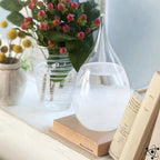 Storm Glass | Glass & Crystal On Wooden Base | Sizes S–L