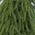 Tabletop Christmas Tree | Lifelike PE Foliage | 30/45/60 cm