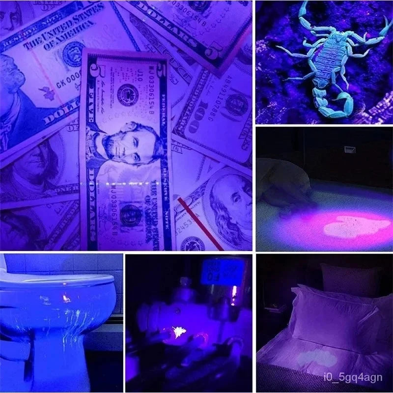 UV Flashlight | 100-LED Blacklight Bed Bug & Stain Detector