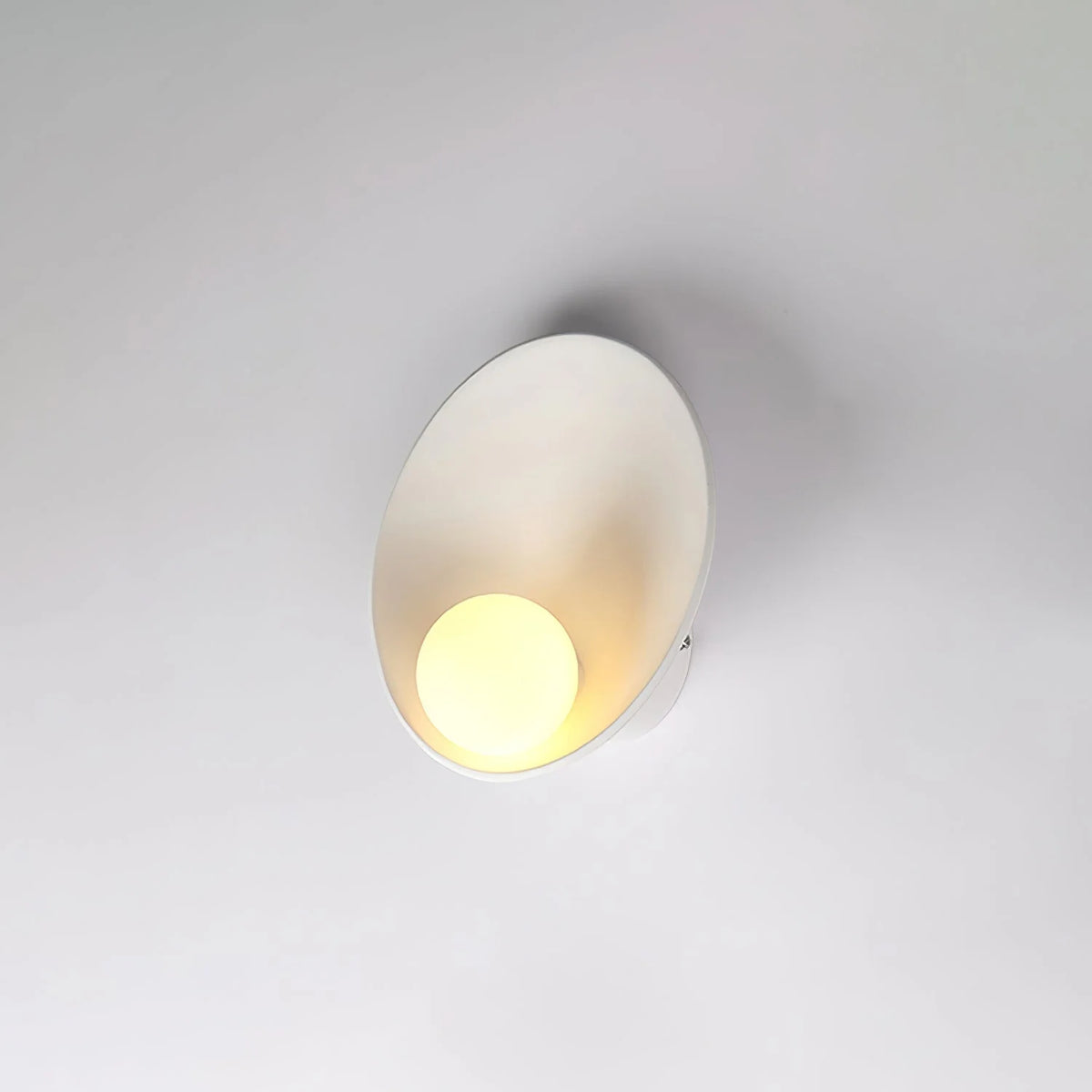 Wall Sconce | Seashell Resin Design | Hardwired Indoor Lighting