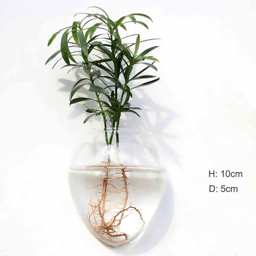 Wall Vase | Borosilicate Glass & Wall-Mounted