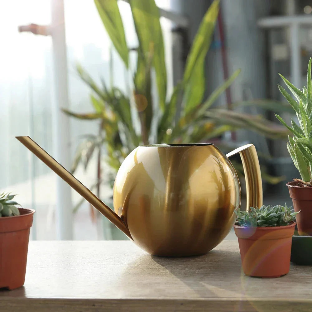 Watering Can | Minimalist Design & Ergonomic Handle | Precise Narrow Spout